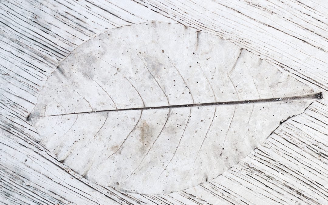 Concrete Flooring